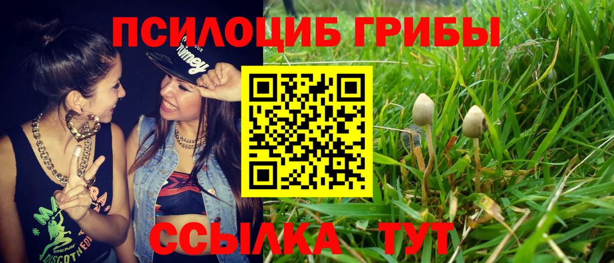 Галлюциногенные грибы Cubensis Усть-Илимск