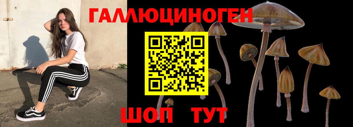 Усть-Илимск  магазин продажи   Вход с VPN  Галлюциногенные грибы прущие грибы  Псилоцибиновые грибы MAGIC MUSHROOMS 